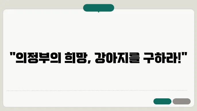 보호소 내부 이미지