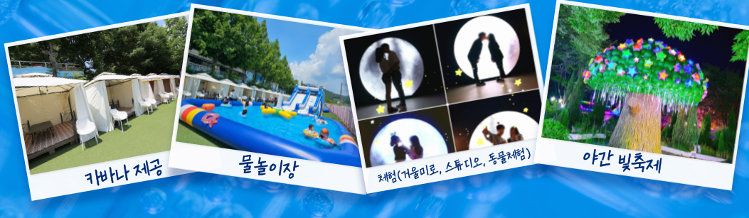 청도 프로방스 빛축제ㅣ물놀이장ㅣ동물체험ㅣ입장료ㅣ반려동물 정보