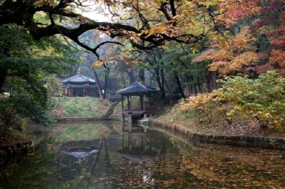 서울-가을-단풍-명소-창덕궁-후원