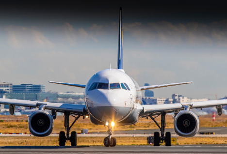 강아지 비행기 탑승: 준비물, 팁, 주의사항까지 모두 알려드려요!