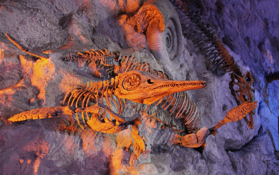 화석으로 본 고생대 먹이사슬 구조