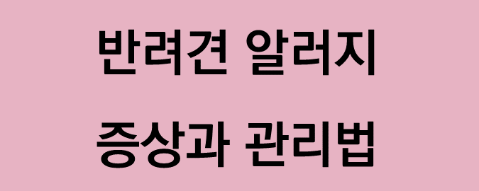 반려견 알러지 증상과 관리법