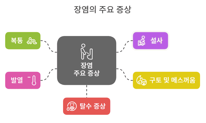 장염의 주요 증상