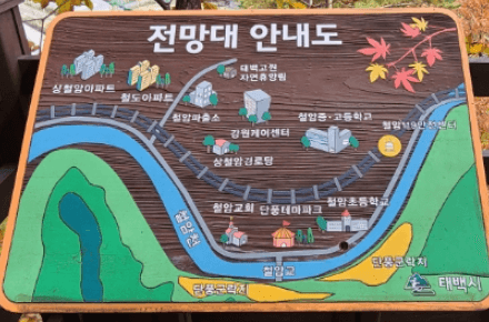 태백시 철암 단풍군락지