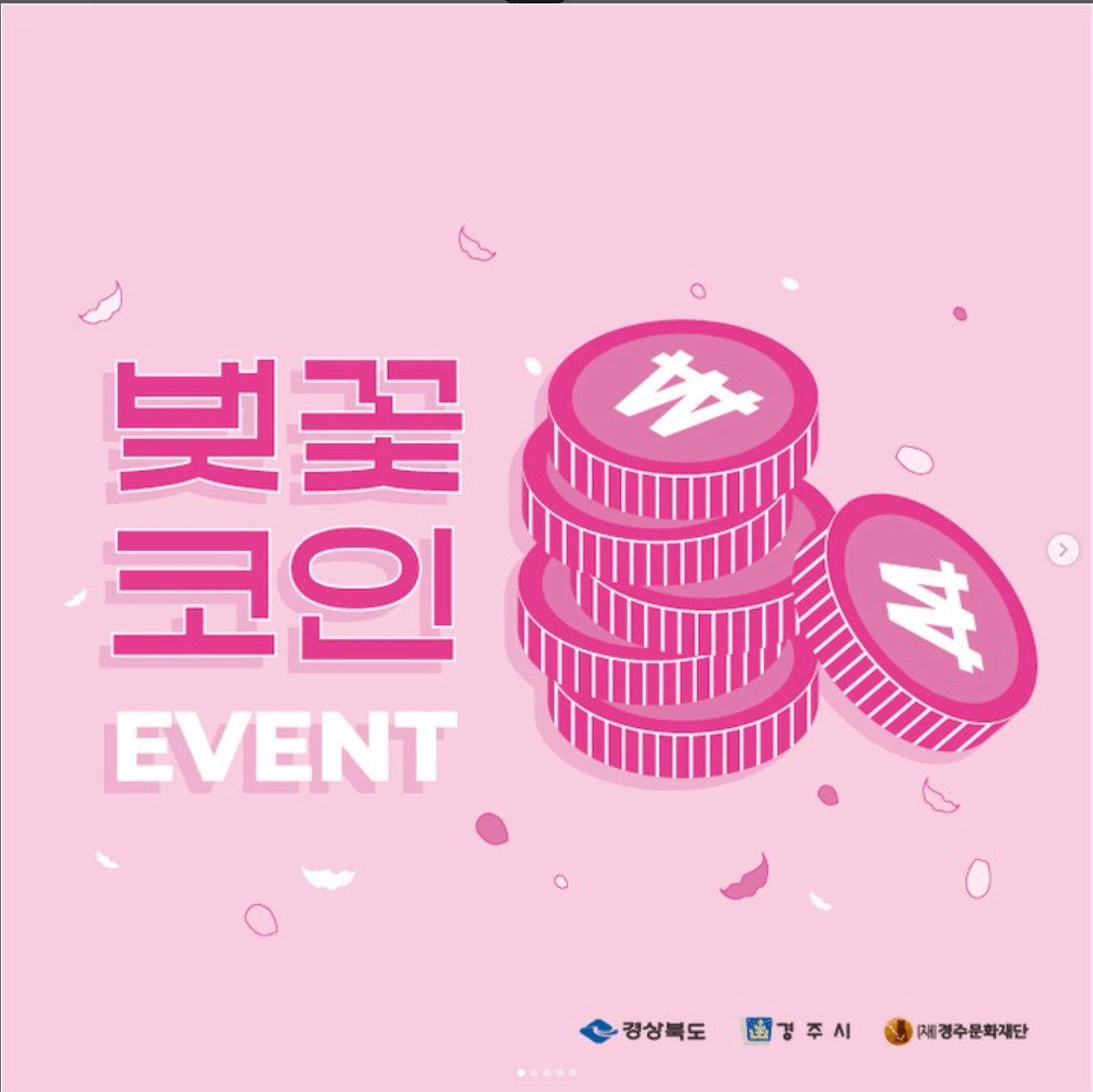 대릉원돌담길벚꽃코인