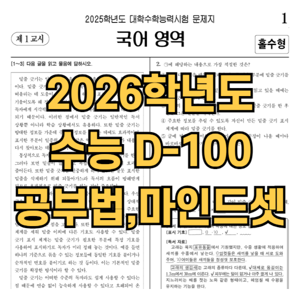 수능 디데이
