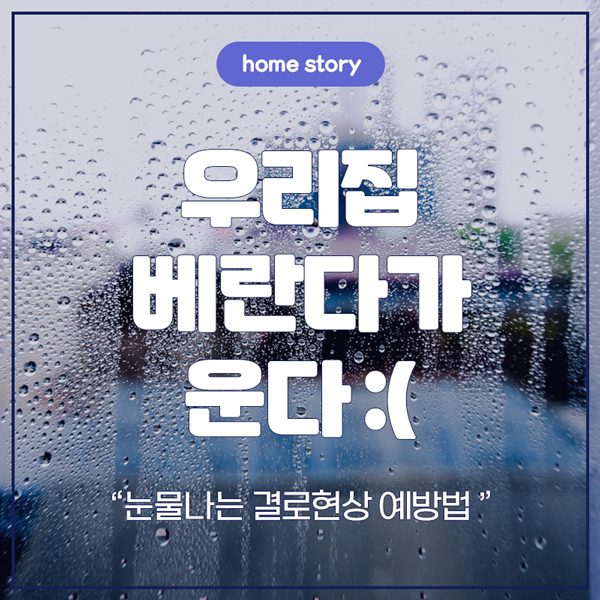 우리집 베란다가 운다
