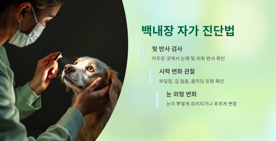 백내장 진단과 증상