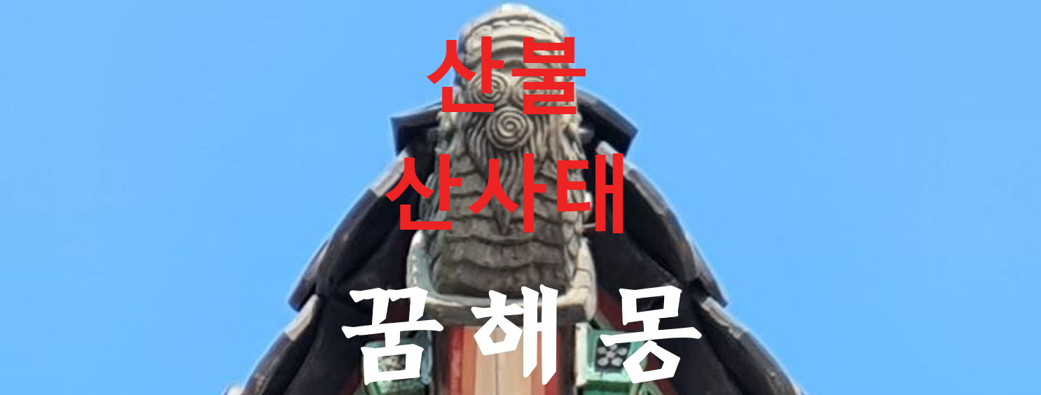 꿈해몽