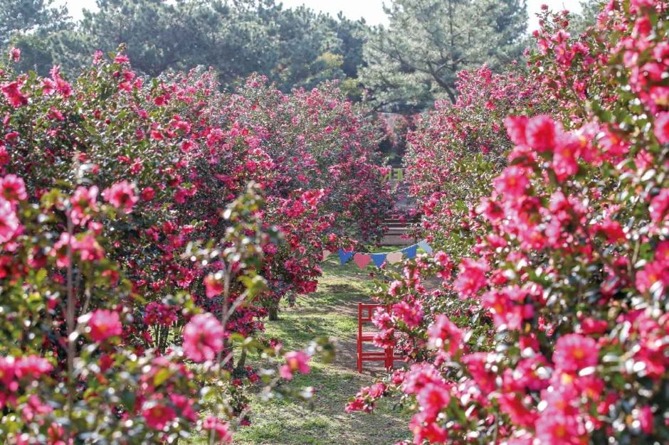 2024년 11월, 12월 축제 총정리