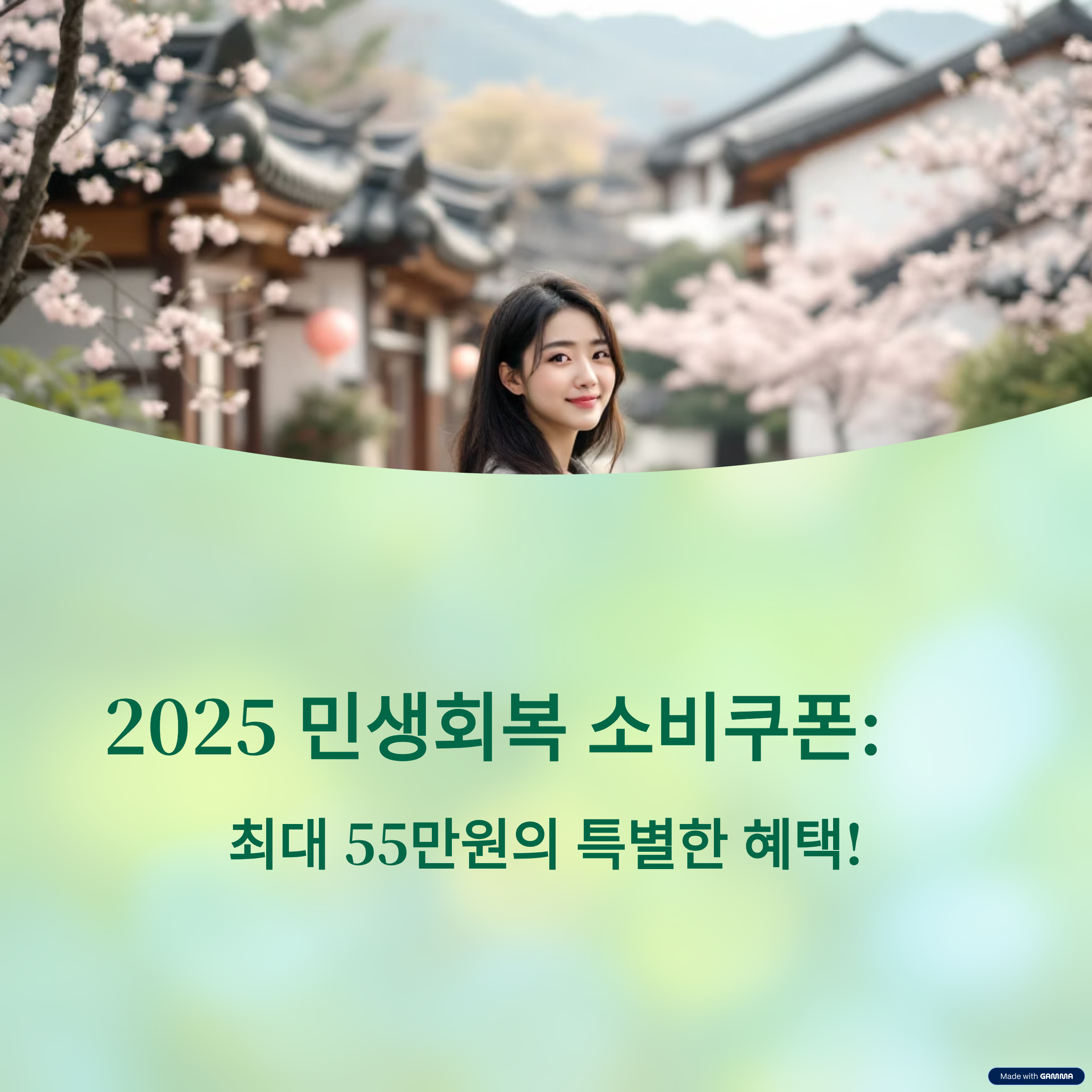 2025 민생회복 소비쿠폰