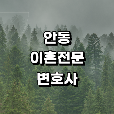 안동시 이혼 변호사
