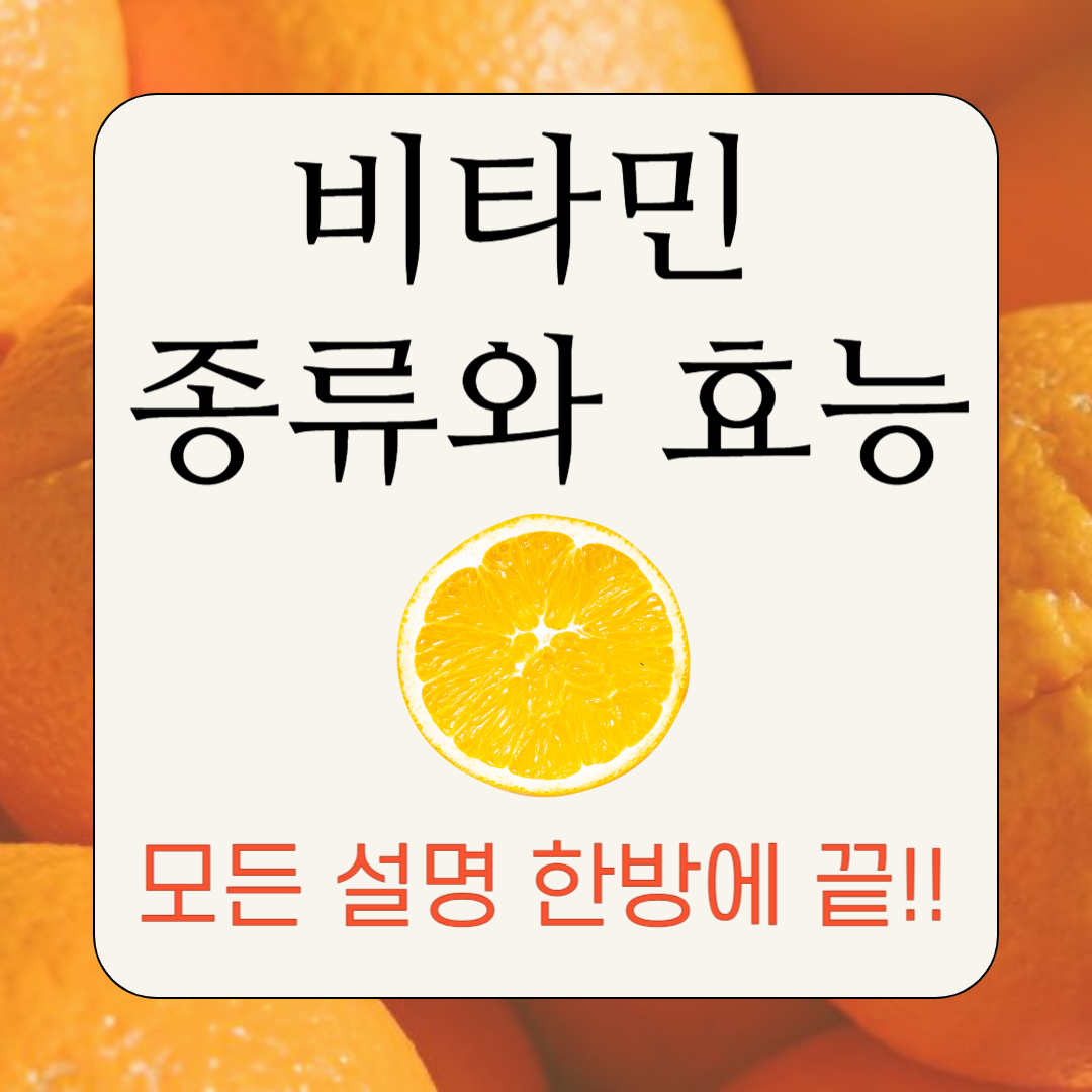 비타민 종류와 효능 총정리