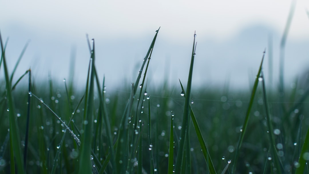 Moisture