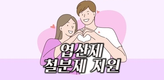 엽산제 철분제 지원