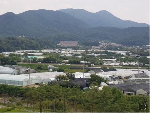 과천시 과천동 일대 전경