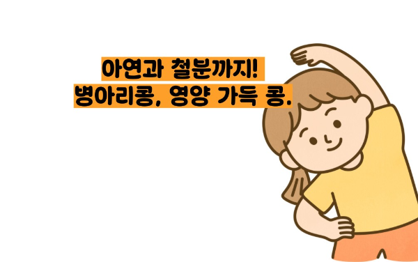 병아리콩 효능 부작용