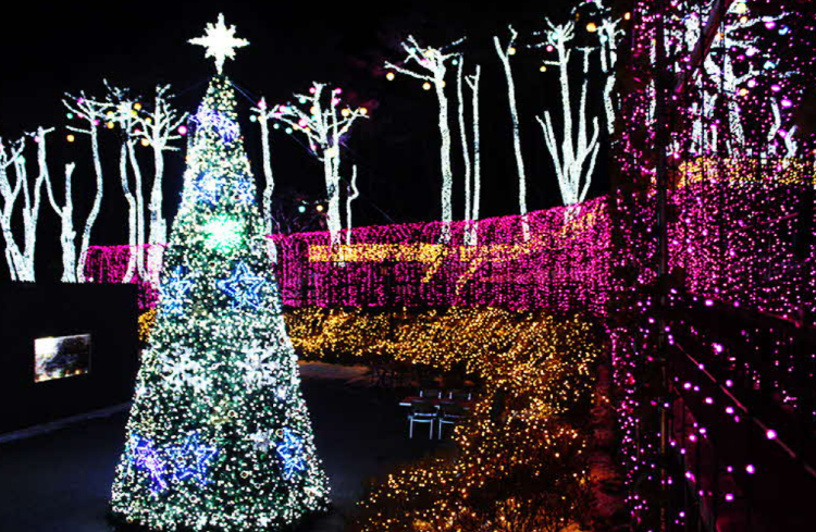 단양 수양개빛터널