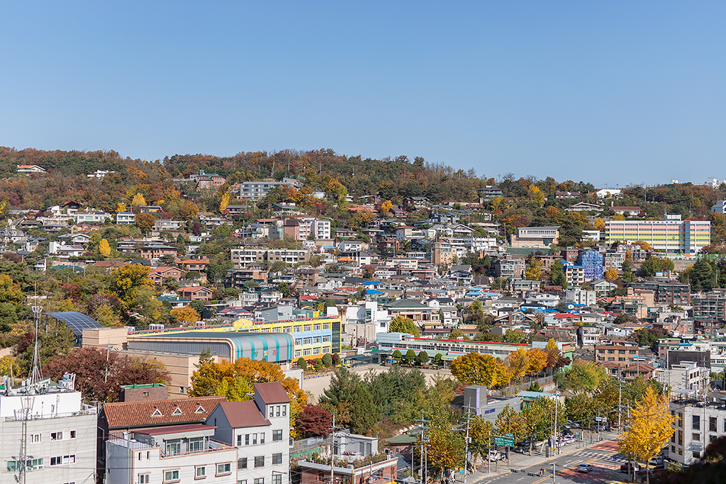 혜화문
성북동
한양도성길
백악구간
서울여행
서울단풍
가을단풍
단풍