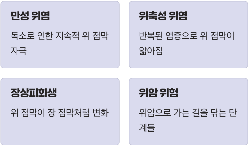 만성 위염에서 위암까지, 위험의 단계