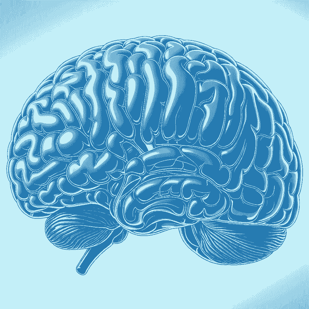 방사선 치료 확인 방법과 뇌종양의 모의 치료 방법