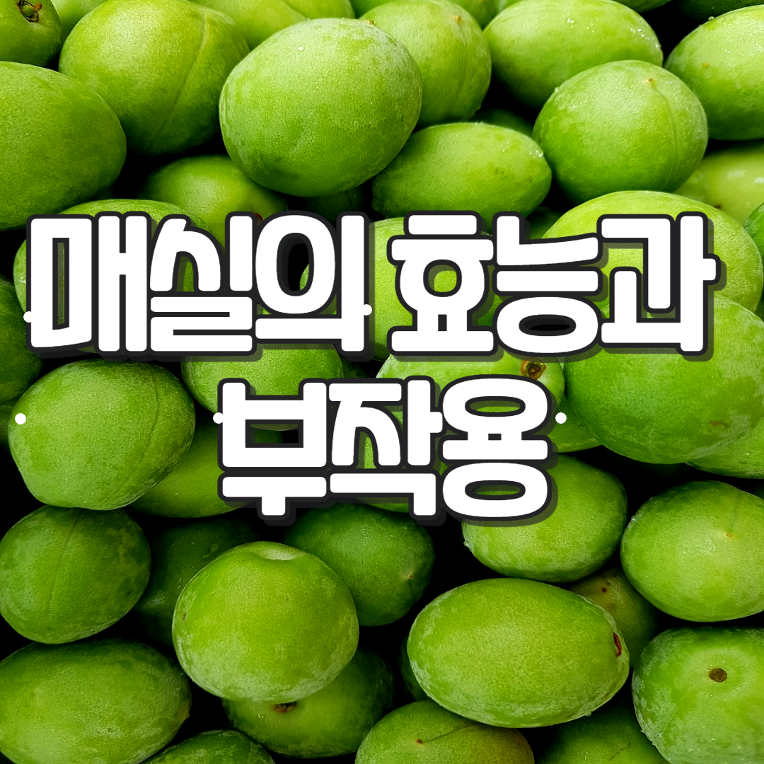 매실의 효능과 부작용