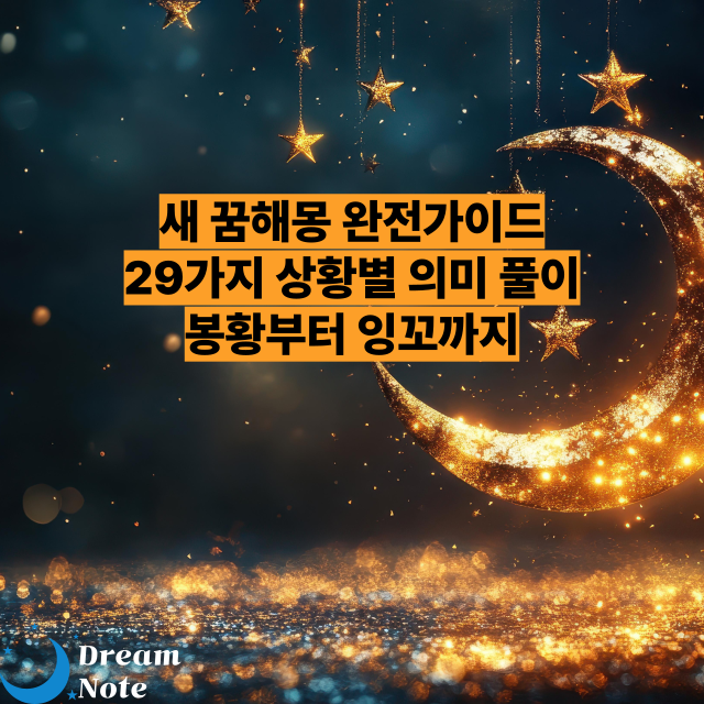 새 꿈해몽 완전가이드 29가지 상황별 의미 풀이 봉황부터 잉꼬까지