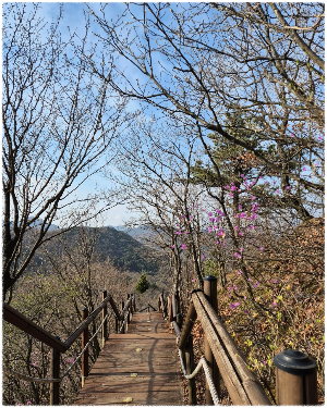 기린봉