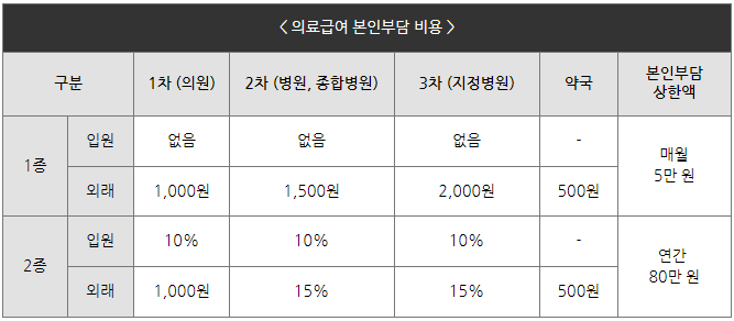 의료급여