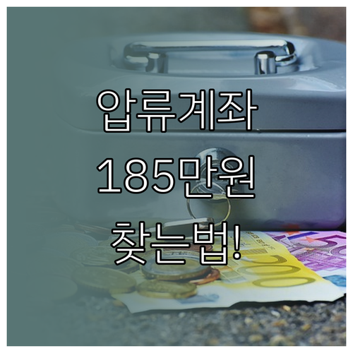 압류된 계좌에서 생계비 185만 원 ..
