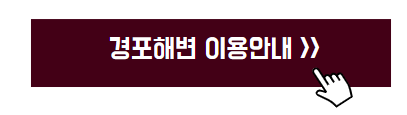 강릉 여행코스 추천