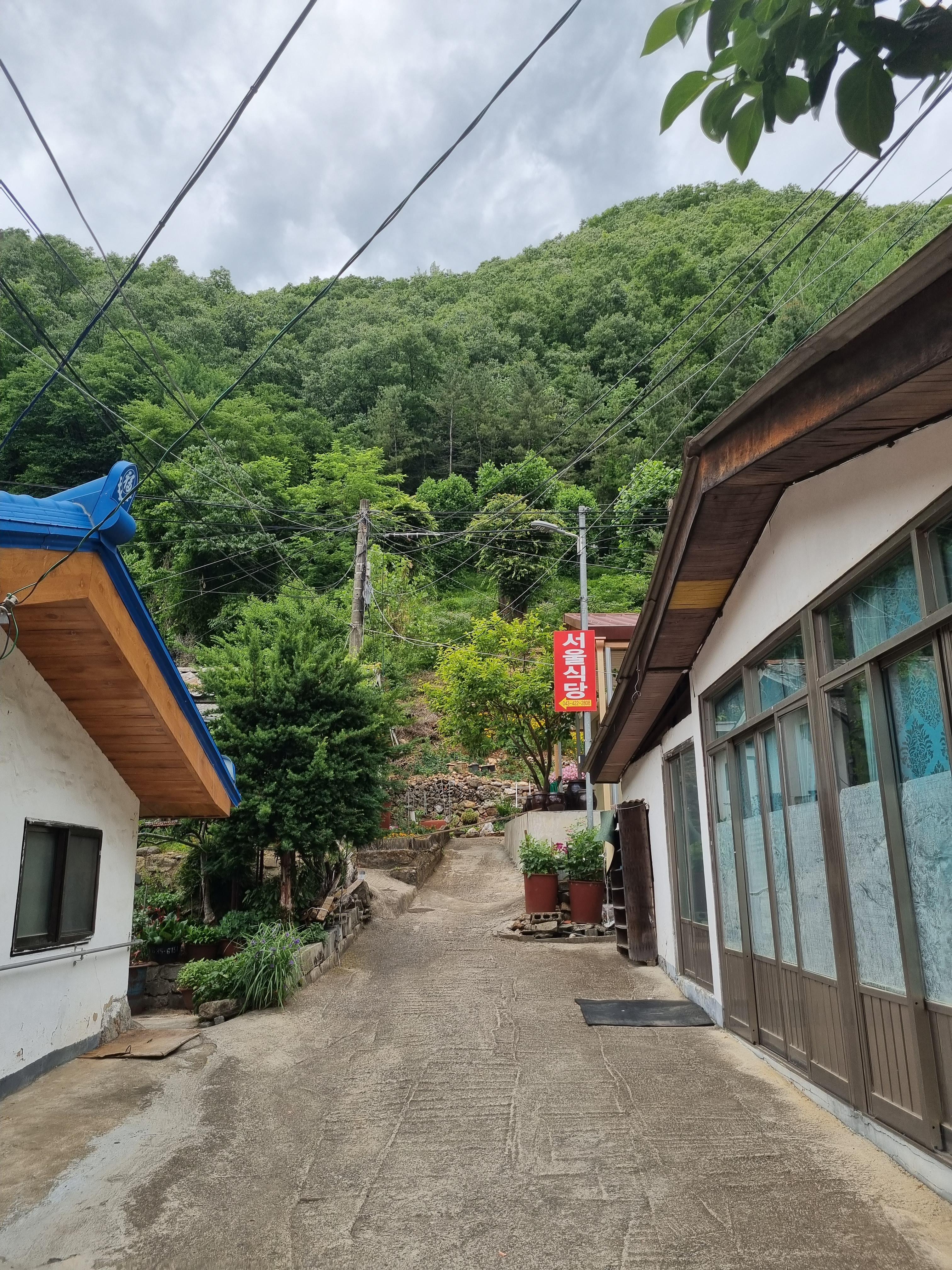 단양-떡갈비-맛집-서울식당