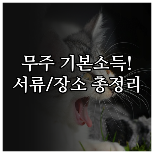 무주 기본소득 신청 장소와 사업별 추..