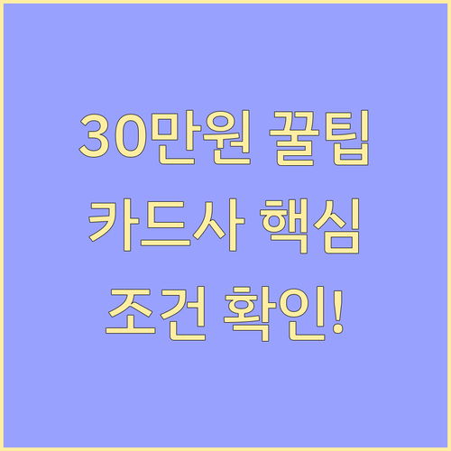 카드사별 12월 최대 30만 원 신규..