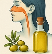 올리브유 효능