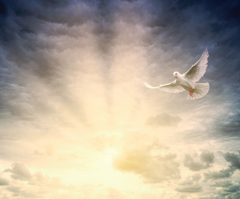 구름 사이로 빛나는 하늘 위를 나는 흰 비둘기, 성령의 임재와 계시를 상징