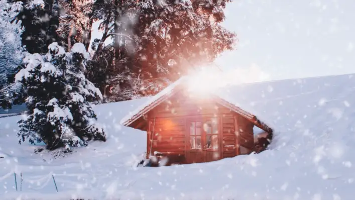 사람들은 왜 눈을 좋아할까요