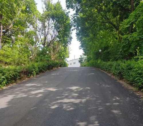 초안산 골프연습장