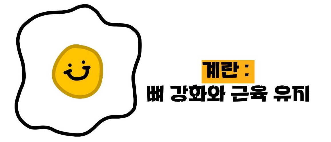 뼈에 좋은 음식