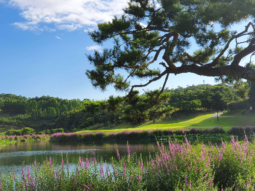 남여주CC 가격, 회원권, 예약 하기