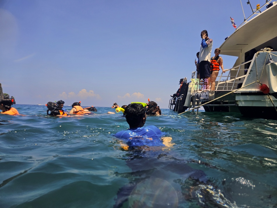 푸켓 스노클링, 피피섬 마야섬 몽키 비치 카이섬 투어 리뷰 코스 가격