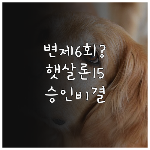 개인회생 변제금 6회 이상 납부자 햇..