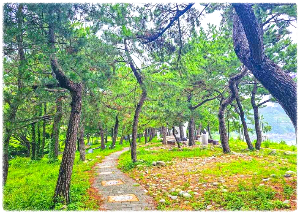무슬목해변