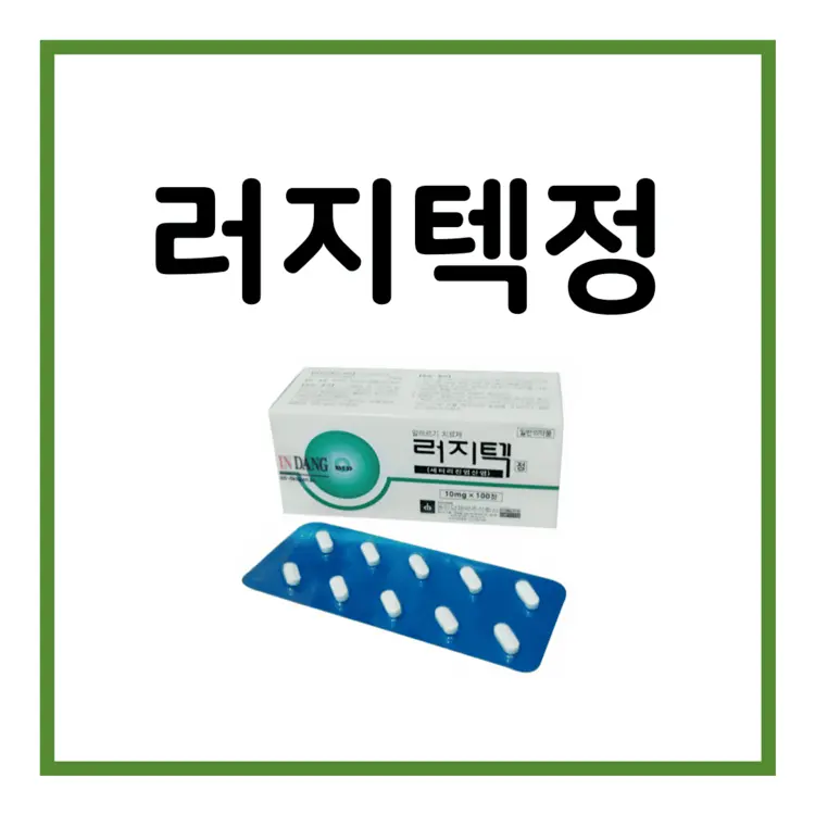 러지텍정-이미지