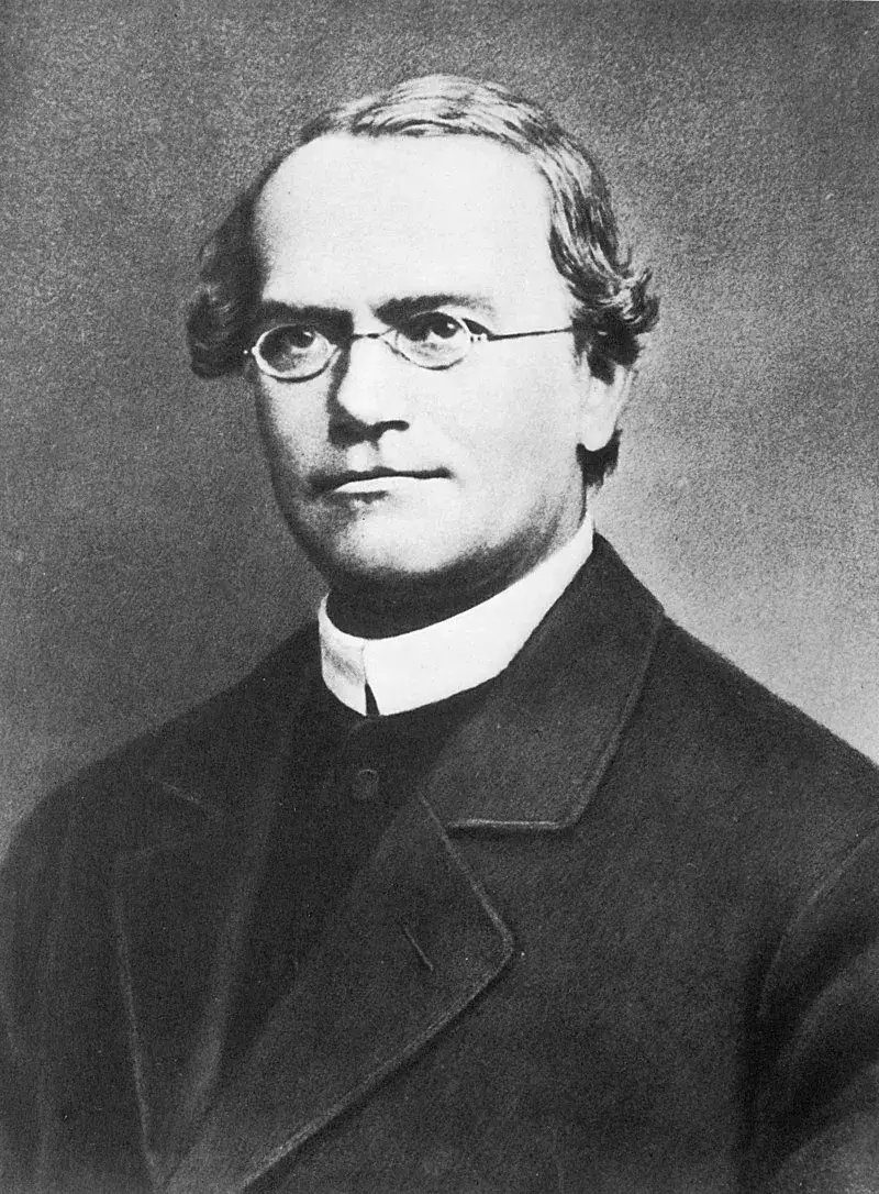 그레고어 멘델(Gregor Mendel)입니다