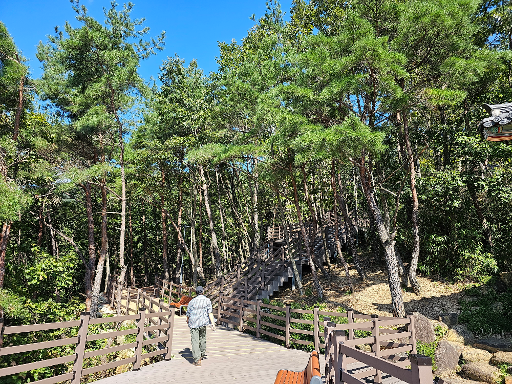 데크 옆 길