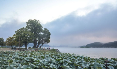 서울근교 가볼만한곳