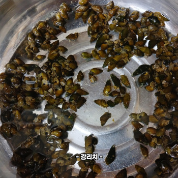 다슬기란