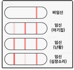 쓰리라인-임테기-아기집