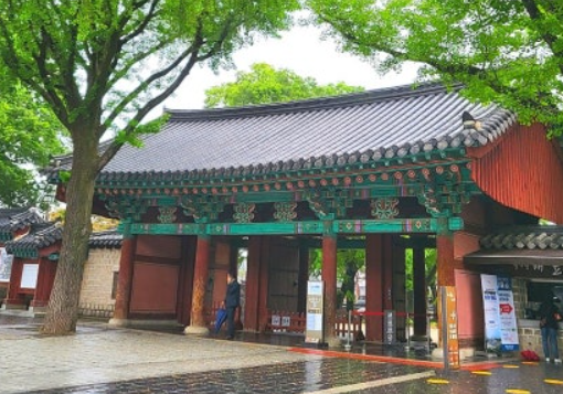 전주-벚꽃-명소